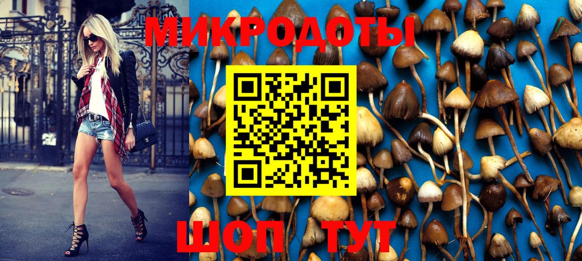 Галлюциногенные грибы MAGIC MUSHROOMS  Вход с VPN  Ноябрьск 