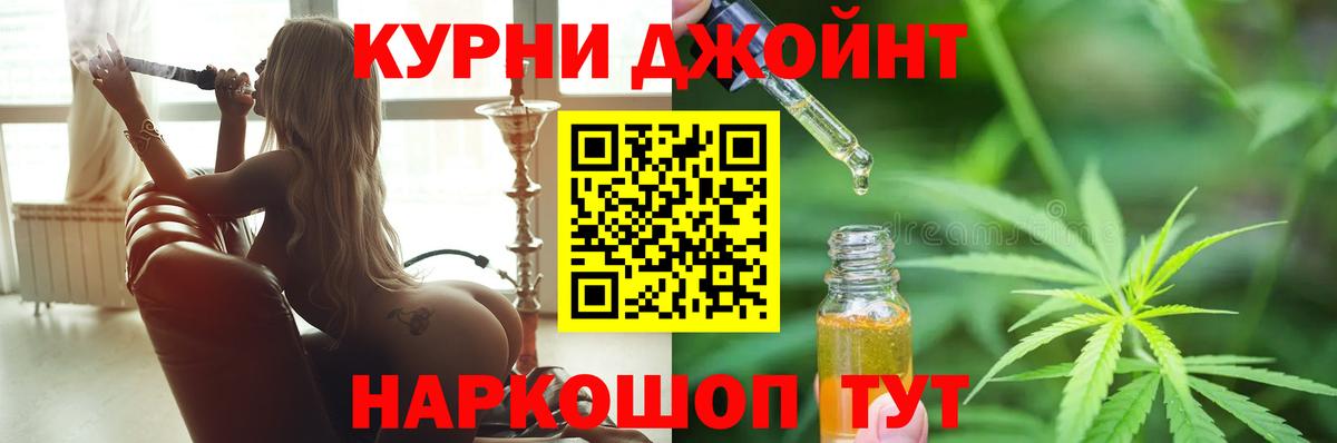 Канабис сатива Ноябрьск